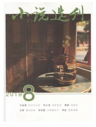 小说选刊