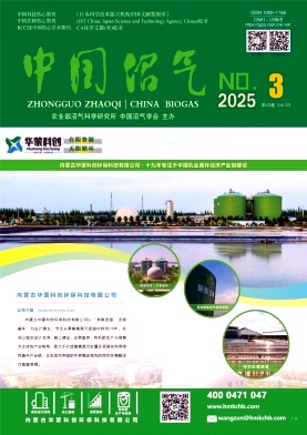 中国沼气