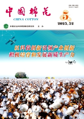 中国棉花