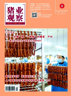 猪业观察