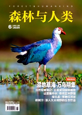 森林与人类