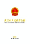 武汉市人民政府公报