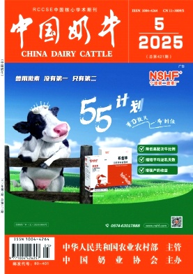 中国奶牛