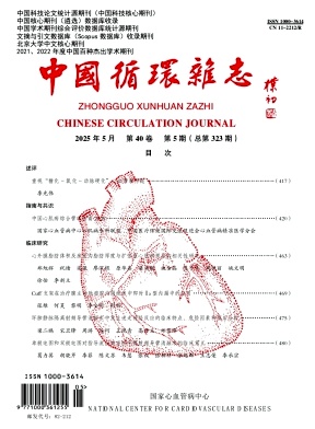 中国循环