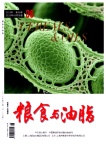 粮食与油脂