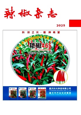 辣椒