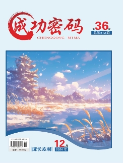成功密码