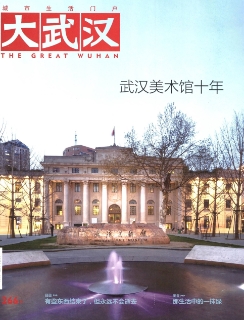 大武汉